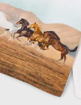Camiseta Mayoral Caballos Nata Para Niño