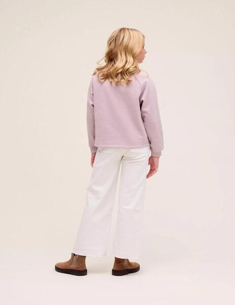 Gallery a16997 dpv24van