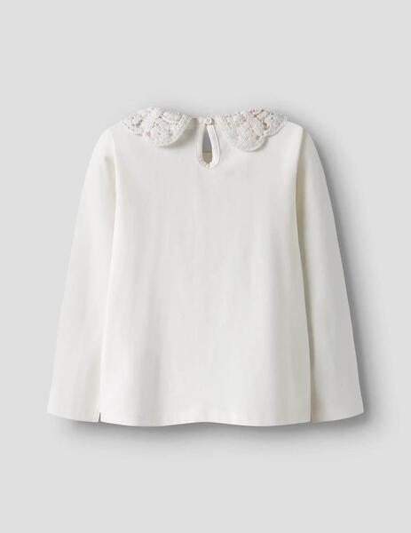 Gallery a17248 ybcwneko