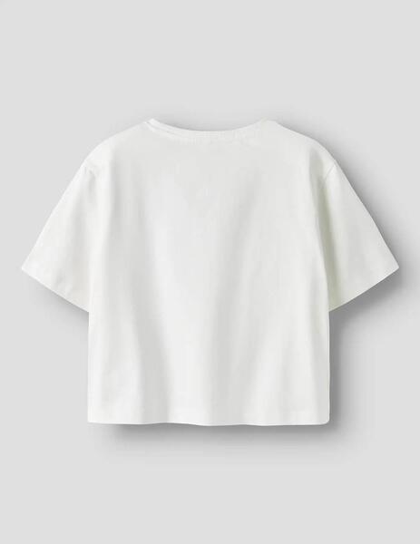 Gallery a17244 jtrop8bg