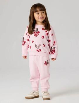 Thumb a17257 qegsrb94