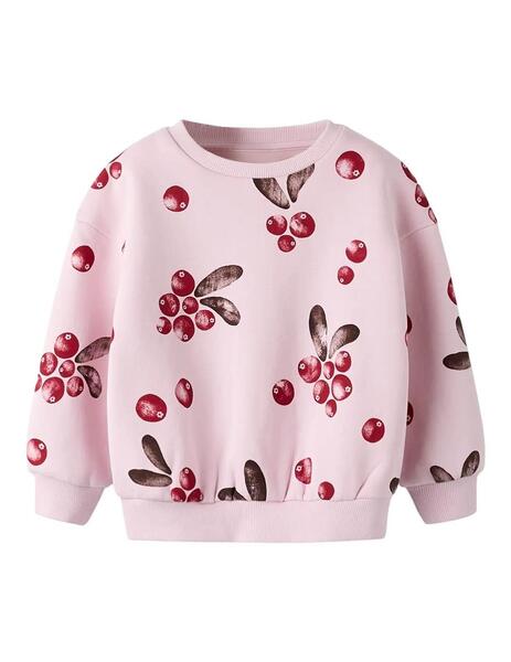 Gallery a17257 1wwjzv6g