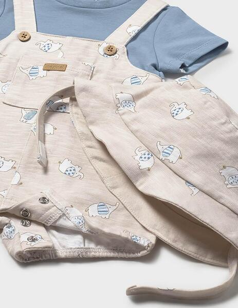 Gallery a17452 7vvyfpr5