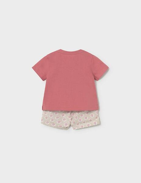 Gallery a17432 xsrrrssl