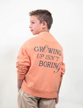 Thumb a17332 9qergtij