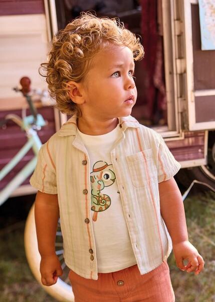 Gallery a17509 bv8axs7b