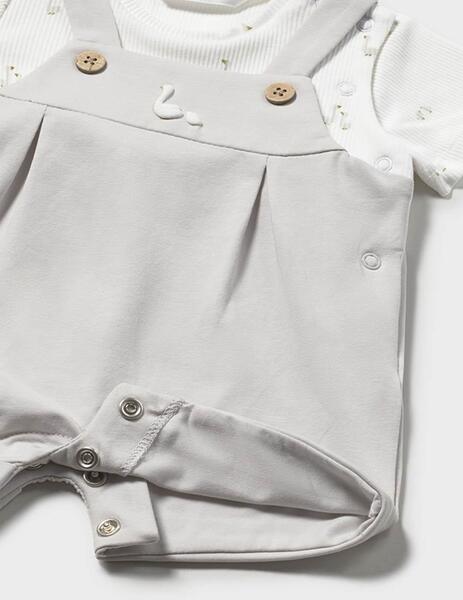 Gallery a17702 efcnybcv