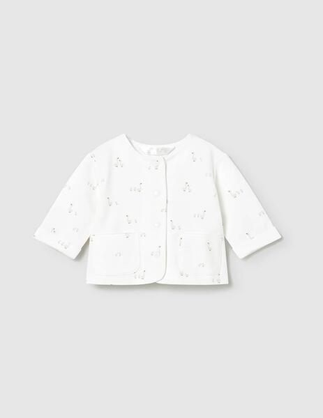 Gallery a17466 jrehl894