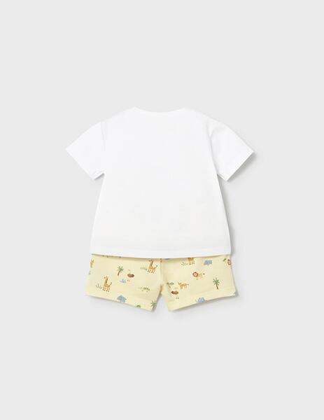 Gallery a17823 npijwg4j