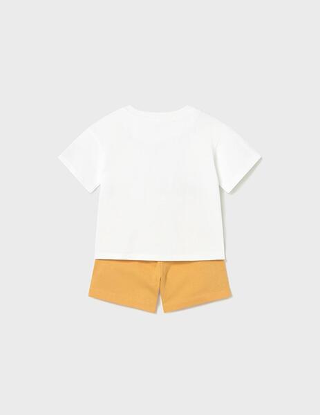 Gallery a17806 ap0wzosv