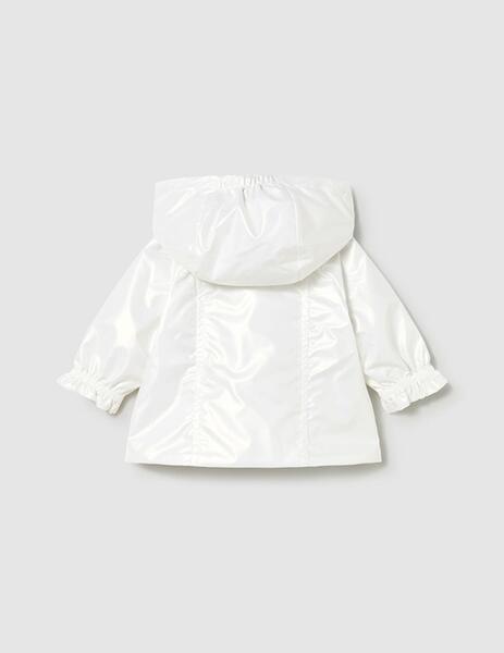 Gallery a17561 l2pxambr