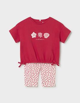 Thumb a17785 fb6qohqq