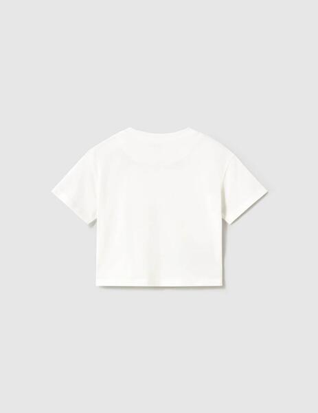 Gallery a17688 plrtrln1